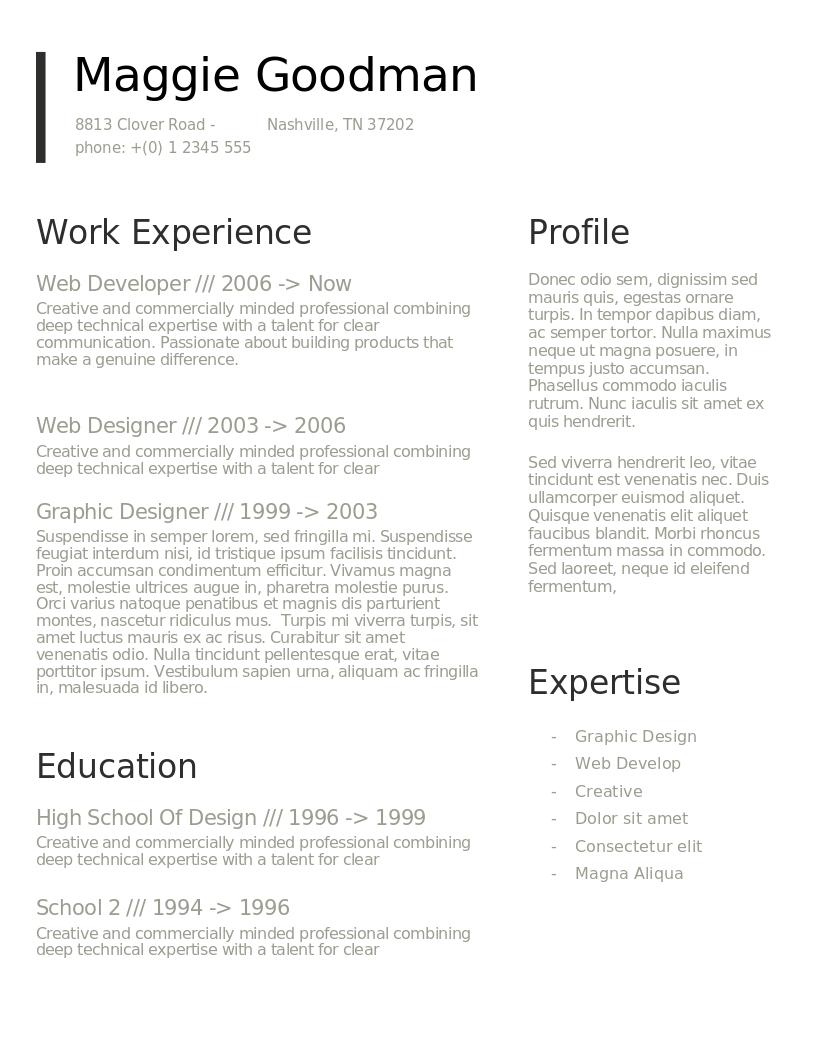 Classic and Sleek CV preview